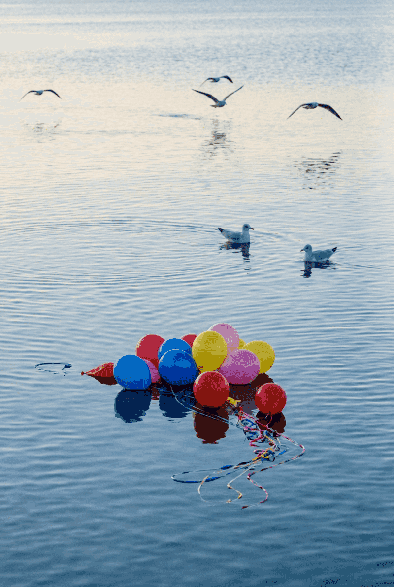 Tortue marine menacée par des déchets de ballons dans l'océan